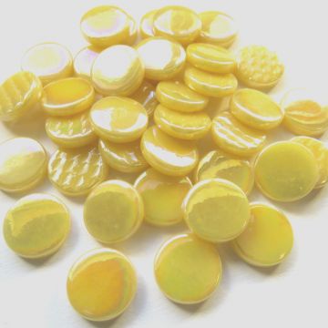 031p Pearlised Corn Yellow: 100g