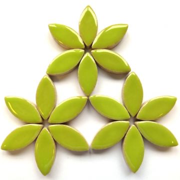 H13Kiwi 25mm Petal: 50g