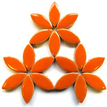 H6 Popsicle Orange 25mm Petal: 50g