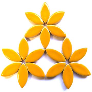 25mm Petal: H101 Curry 