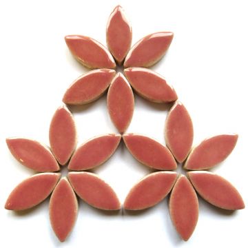 25mm Petal: H49 Dusty Rose 