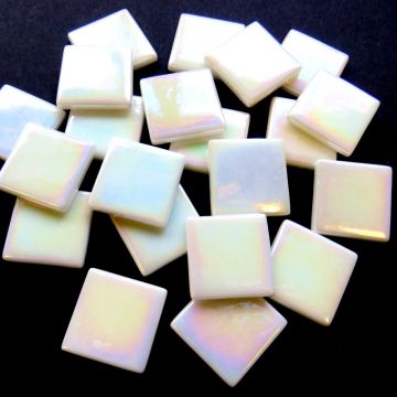 PDV Iridised Opal White 040P: 100g