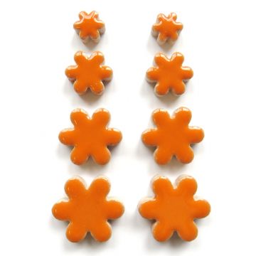 Flowers: Popsicle Orange  H6