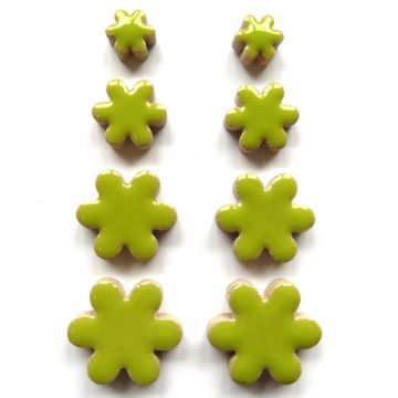 Flowers: Kiwi  H13: 50g