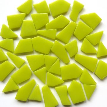 Snippets: Yellow Green 029: 100g