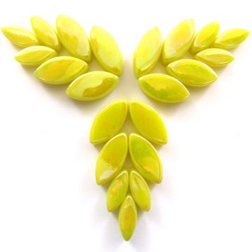 028p Iridised Yellow Petals: 50g