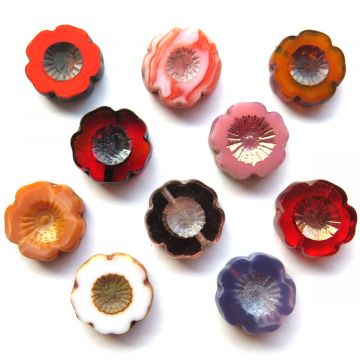 Hawaii Flowers: Set of 10 Warm Tones