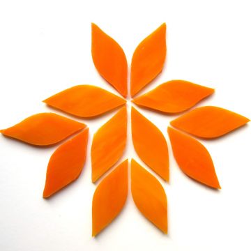 Small Petals: MG47 Carrot