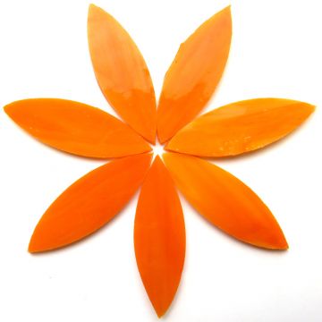 Large Petals: MG47 Carrot: 7 pieces