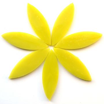Large Petals: MG16 Marigold: 7 pieces