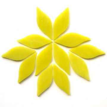 Small Petals: MG16 Marigold: 12 pieces