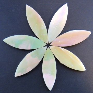 Large Petals: MY27 Vanilla Pearl: 7 pieces
