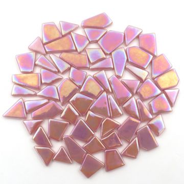 Snippets: Iridised Rose Petals 017P