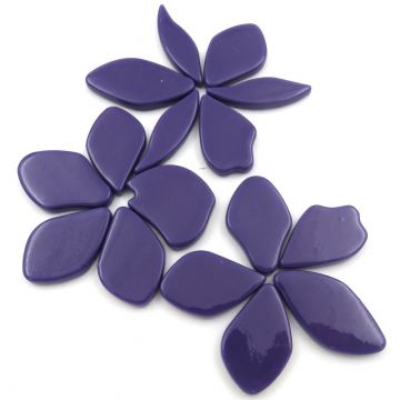 Fallen Petals: Royal Purple Bis62