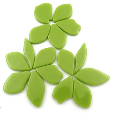 Fallen Petals: Acid Green Bis91