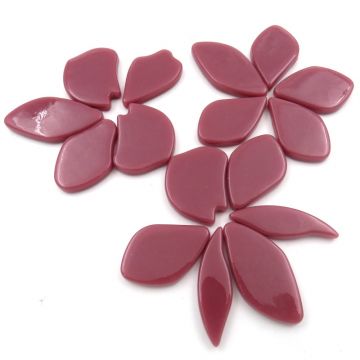 Fallen Petals: Raspberry Bis20