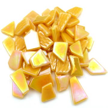 Snippets: Iridised Goldenrod Bis44: 100g