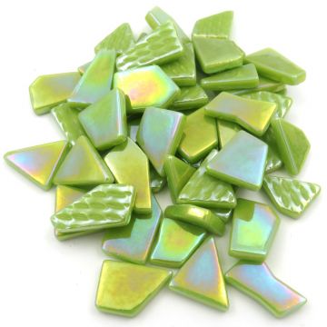 Snippets: Iridised Acid Green Bis91p