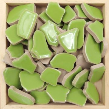 Chunky Jigsaw: A13 Kiwi