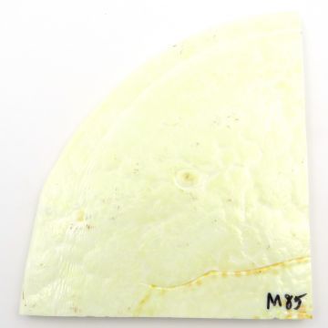 M1