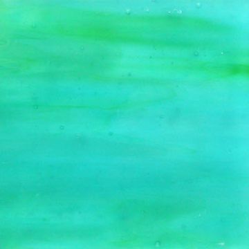 Parrotfish MG104 (6586)