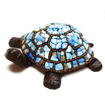 Turtle: Blue