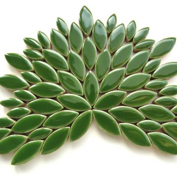 Mini Petals: H141 Eucalyptus: 50g