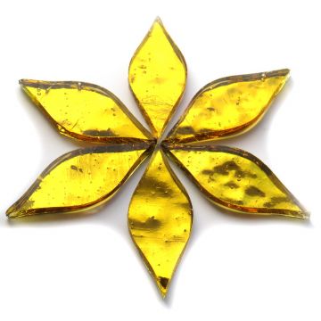 Small Petals: AR17 Gold Wavy 