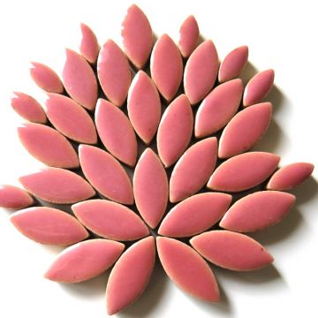 Mini Petals: H49 Dusty Rose: 50g