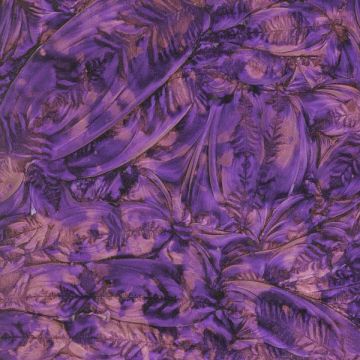 Purple Violet (5x10cm)
