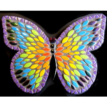 25cm Admiral Butterfly: Rainbow