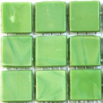 AJ21 Magnesium Green: 25 tiles