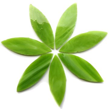 Large Petals: MG19 Green Tea