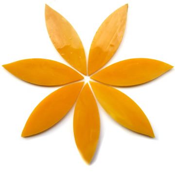 Large Petals: MG41 Mango Nectar