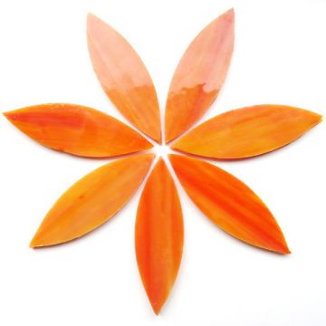 Large Petals: MG71 Early Sunrise