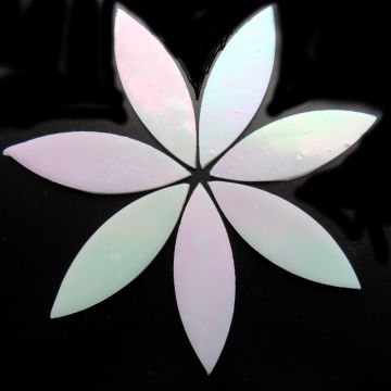 Large Petals: MY01 Shining White