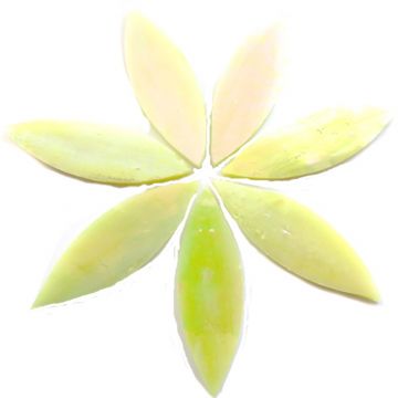 Large Petals: MY16 Lemongras