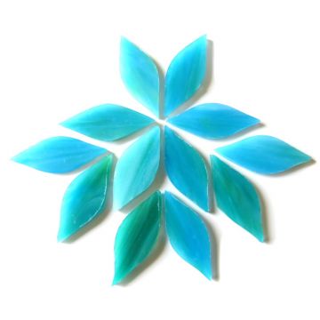 Small Petals: MG104 Parrotfish