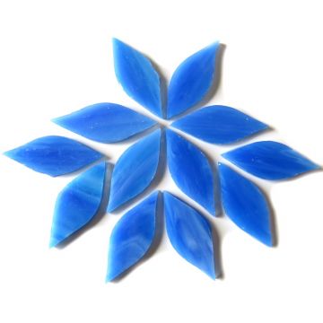 Small Petals: MG30 Dream Blue