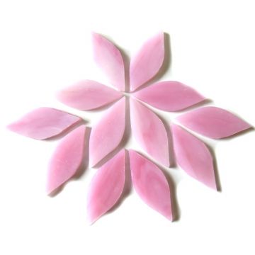 Small Petals: MG43 Sugar Plum