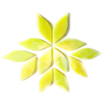 Small Petals: MY16 Lemongrass
