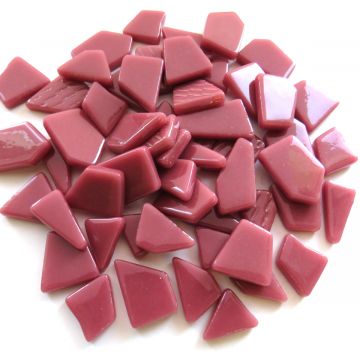 Snippets: Raspberry Bis20