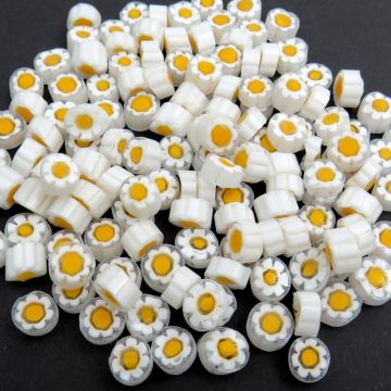 T55 White Daisy: 25g