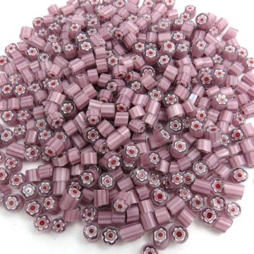 T66 Purple Flower: 25g