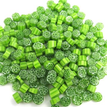 6/7 Lime Green 1000g