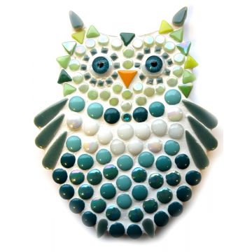 New Owlet: Teal