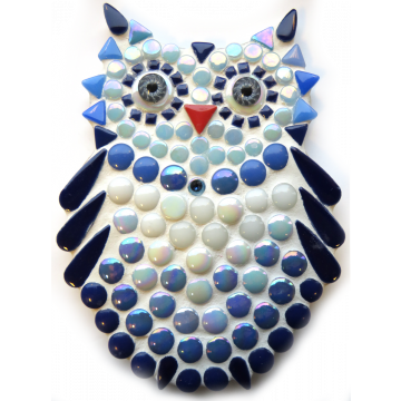New Owlet: Blue