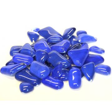 Blue Delphinium