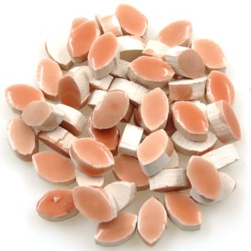 8mm Mini Petal: Pastel Orange, WR03