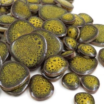 Yellow Mustard Z45 (loose)